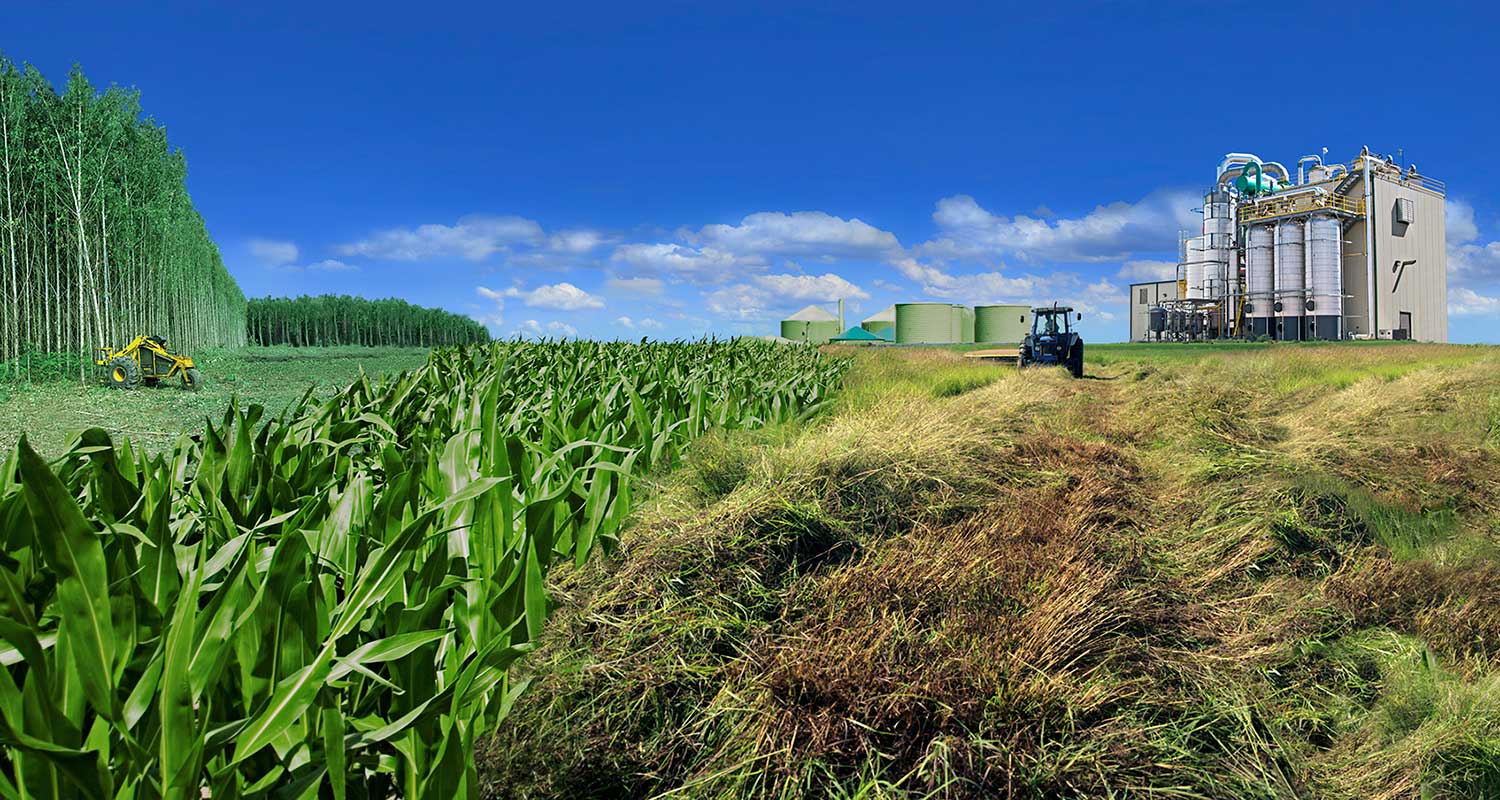 Photo collage depicting biomass-to-biofuels life cycle - fast-growing trees, agricultural waste, storage silos, and a biorefinery.