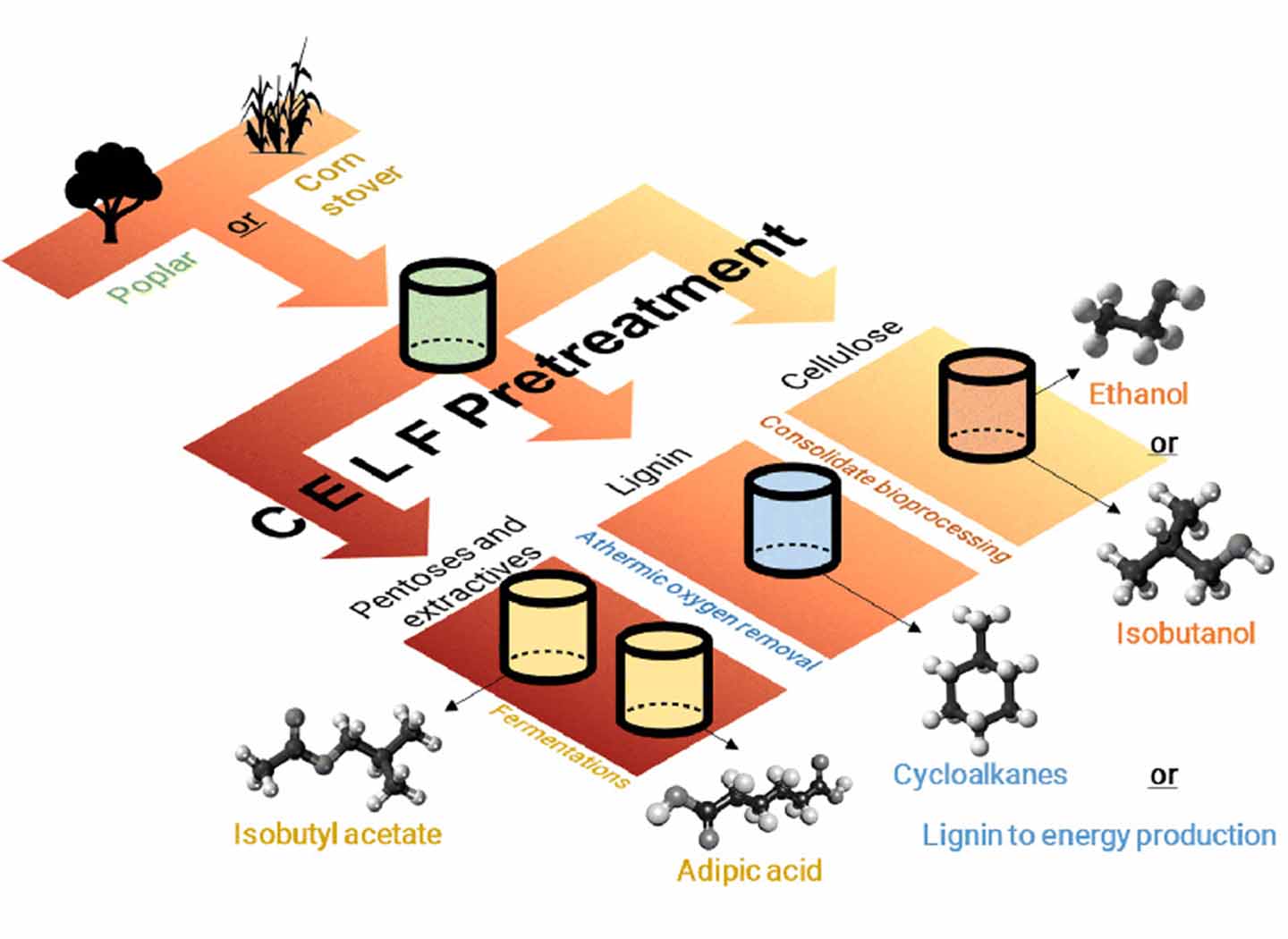 Diagram shows how the CELF pretreatment process works.