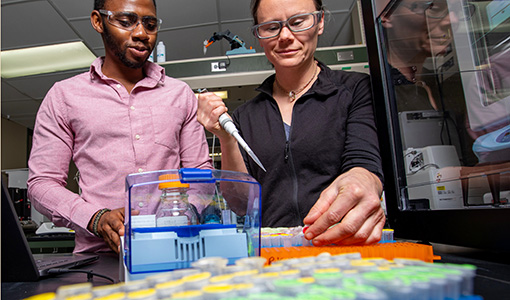 two researchers with safety glasses working in a lab.