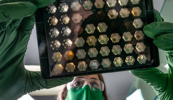 Researcher looking at a material samples