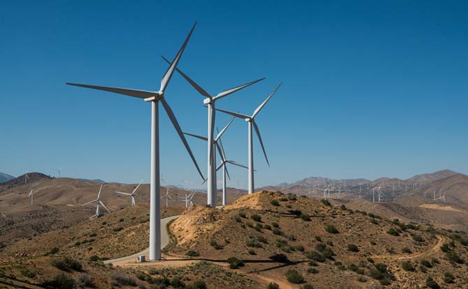 The Pine Tree Wind and Solar Farm