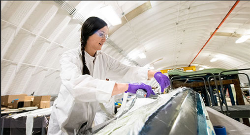 Robynne Murray working in the laboratory.