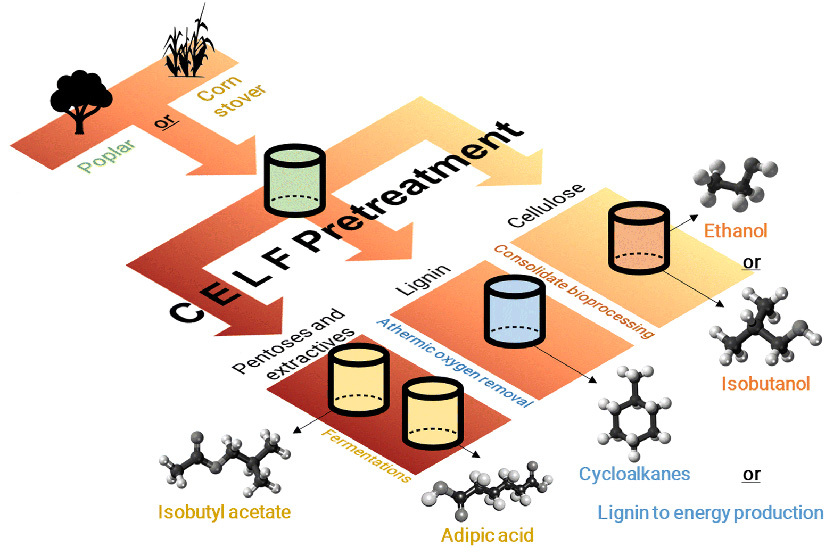 Diagram shows how the CELF pretreatment process works.