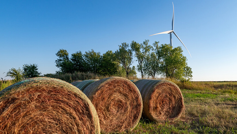 A field with bales of hay in the foreground with trees and a wind turbine in the background.