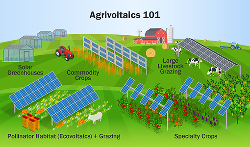 An illustration showing agrivoltaic systems.