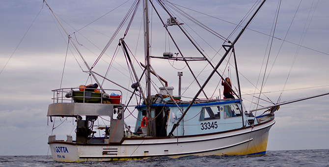 A fishing boat in open water.