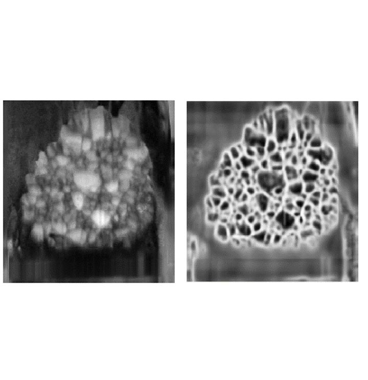 A black and white image of a NMC532 cathode developed with machine learning data processing.