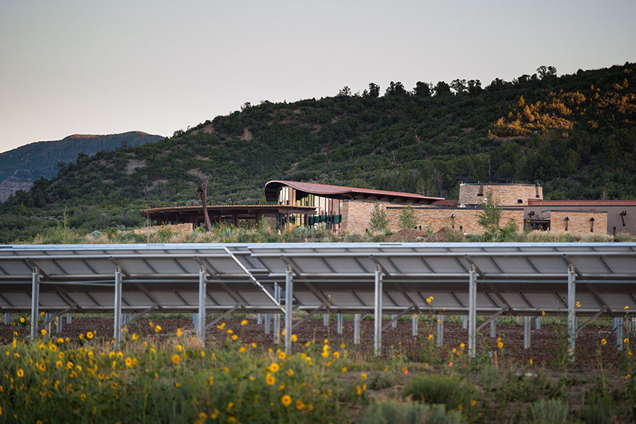 Solar panels in a field.