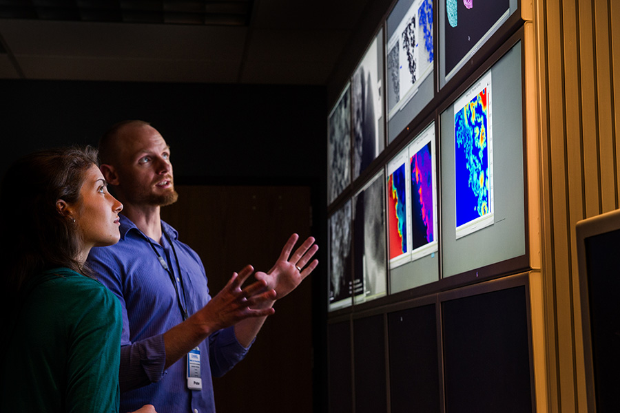 Two people look at potential wave energy imagery on screens.