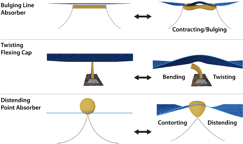 Illustrations of the nondeformed state and the contracting and bulging states